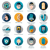 Biometrics icons, illustration