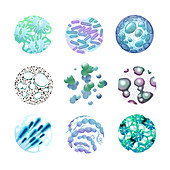 Microbe icons, illustration