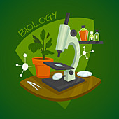 Biology, illustration