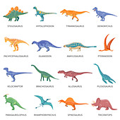 Dinosaurs, illustration
