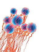 Cancer cells, illustration