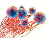 Cancer cells, illustration