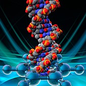 DNA damage, illustration