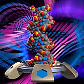 DNA molecule, illustration