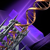 DNA molecule, illustration