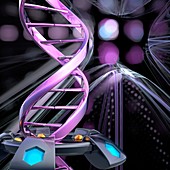 DNA molecule, illustration