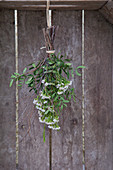 Waxflower posy