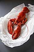 A whole cooked lobster on white paper