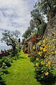 Mediterranean garden on a slope