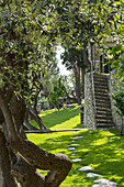 Schatten spendende alte Bäume und Steintreppe im Garten