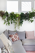 Grey corner sofa with scatter cushions below plants on windowsill