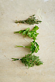 Four bouquets of herbs (seen from above)