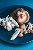 Different types of mushroom on a blue plate