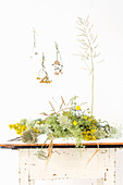 Verschiedene Wiesenblumen auf Tisch und an der Wand