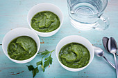 Grüne H-Burn-Suppe mit Stangensellerie, Bohnen und Petersilie