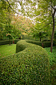 Formschnitthecke schlängelt sich durch Gartenanlage (Les Jardin de Castillon, Frankreich)