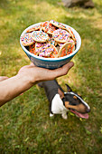Dog Food - Cookies mit Zuckerperlen (Hundekekse)