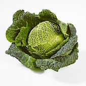 A savoy cabbage on a white background