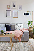 Grey sofa next to standard lamp and houseplant in living room