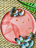 Cockle shells on an empty plate