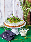 Cream cheese and herb cake with peppers and olive