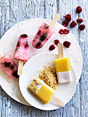 Raspberry, Lemon and Mint Ice-Blocks and Coconut and Mango Ice-Blocks with Biscuit Sand