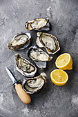 Open Oysters, lemon and knife on concrete background