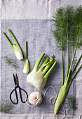 Arrangement of fennel with string and scissors