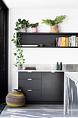 Houseplants on the wall shelf above the kitchen counter in black