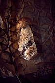 A mushroom on a brown paper bag (seen from above)