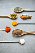 Spice on a spoon (lavender, cardamom, cinnamon, turmeric, capsicum, cumin, salt)