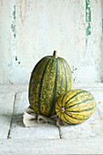 Two green spaghetti squash against a white wooden background