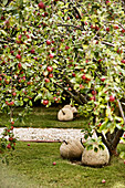 Deko-Äpfel aus Stein unter Apfelbäumen in der Obstwiese