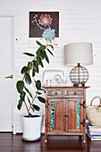 Antique wooden cabinet with radio and table lamp, next to it ficus in front of a white painted wooden wall