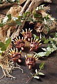 Kleine Schokoladenigel-Cupcakes (Australien)