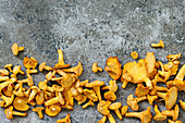 Heap of fresh uncooked forest mushrooms chanterelle over gray texture background