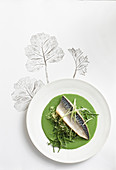 Oven-baked fish with watercress cream