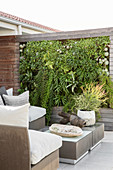 Elegant outdoor furniture and green wall on terrace