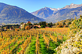 A view of Rametz castle, surrounded by vineyards, Merano, Vinschgau, South Tyrol, Italy