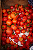 Viele Tomaten in Holzkiste auf einem Markt