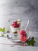 Raspberry and mascarpone cream and raspberry ice cream