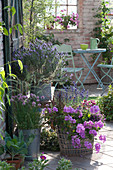 Scented terrace with herbs and geranium: