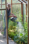 Frau gießt Gemüse im Gewächshaus