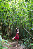 A woman practising yoga in a bamboo forest