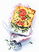 Spinach lasagne with tomatoes