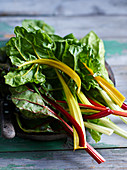 Colourful chard on a wooden surface