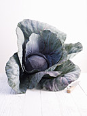 Red cabbage and a knife on a white wooden table