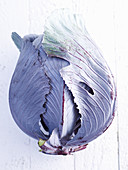 Red cabbage on a white wooden background