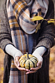 Hands of woman holding a little pumpkin