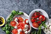 Caprese-Salat mit Tomaten, Mozzarella und Basilikum (Italien)